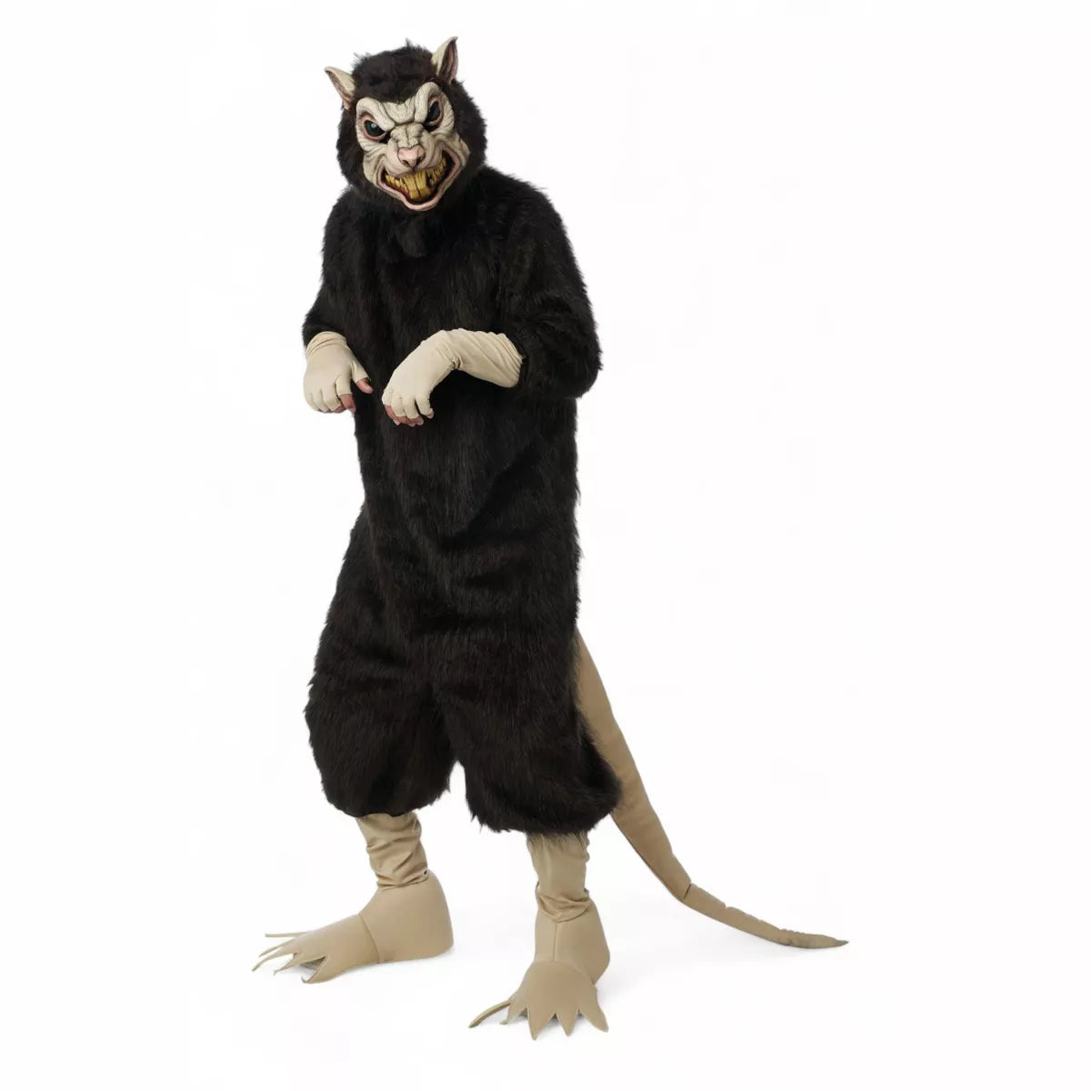 Giant Rat, Adult