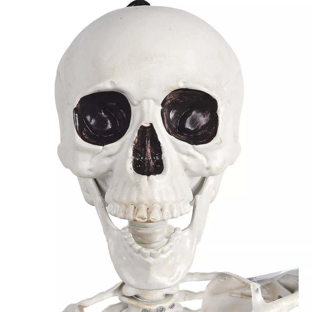 Poseable Full-Sized Skeleton Figure with Detailed Bones for Educational Purposes