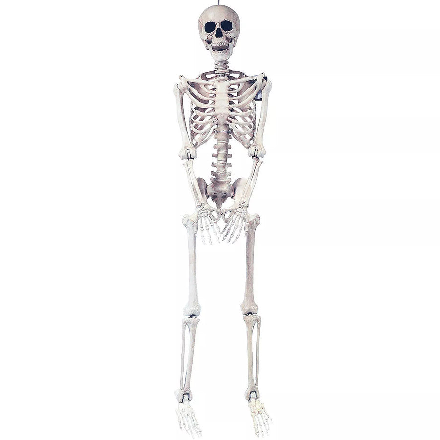 Realistic 5' Skeleton Pose & Hold with Movable Joints for Halloween Decorations