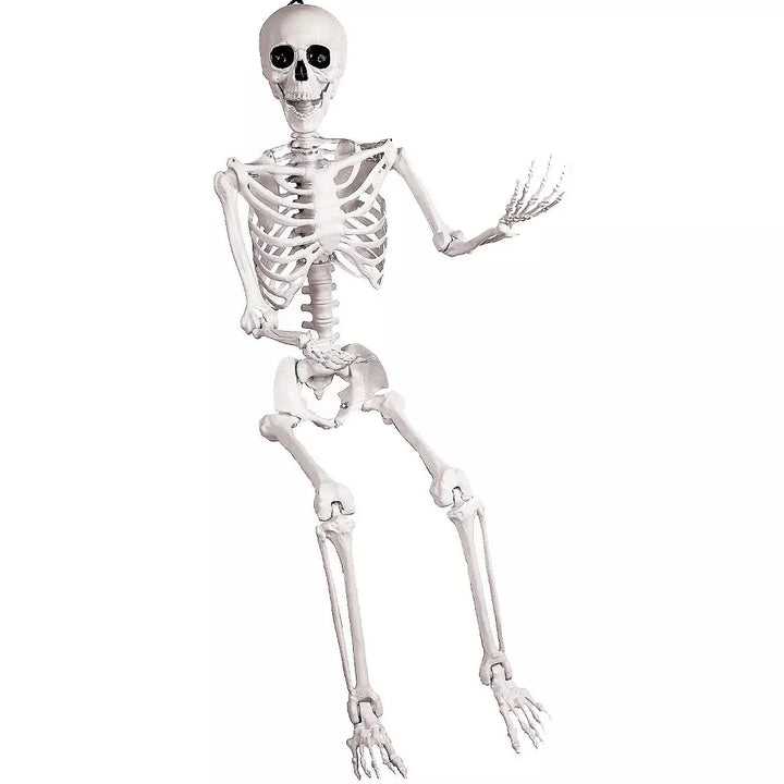 5 Feet Tall Skeleton Model with Articulated Joints for Realistic Halloween Displays