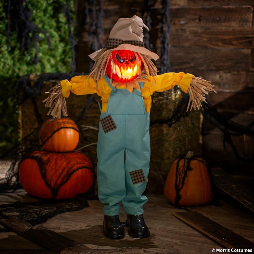 Light-Up Sonic Scarecrow Standing Decoration - 3 ft