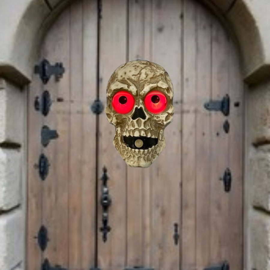 A detailed image of a dark metal skull door bell with intricate details and a vintage look