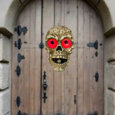 A detailed image of a dark metal skull door bell with intricate details and a vintage look