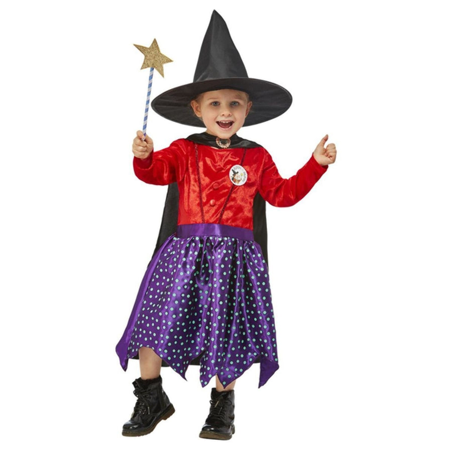 Julia Donaldson Room On The Broom Deluxe Girls Costume in purple with hat and broomstick