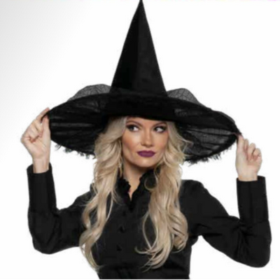 Wicked Witch Womens Costume