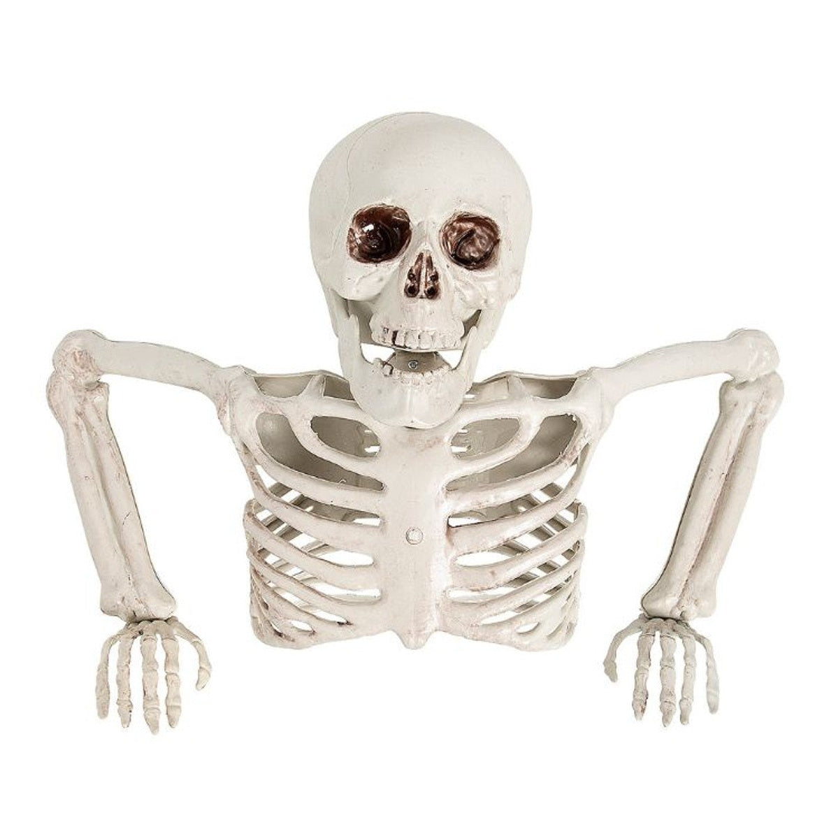 Table Top Half Skeleton Centerpiece, 15 3/4" x 10 3/4"