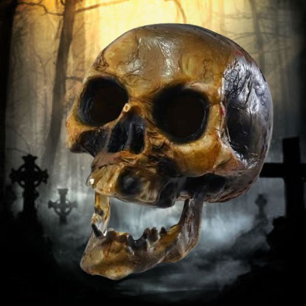 Decaying Skull 20cm - Bone