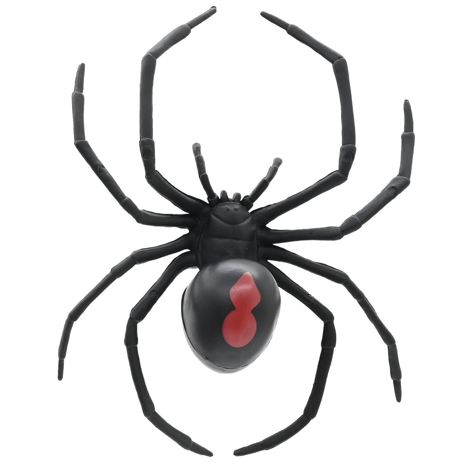 Giant Redback Spider