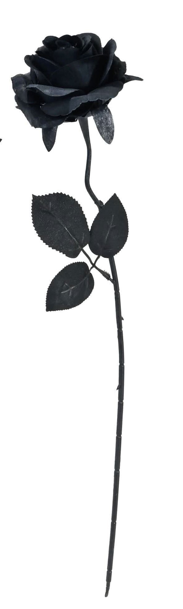 Artificial long-stemmed roses on a plain white background,  black.