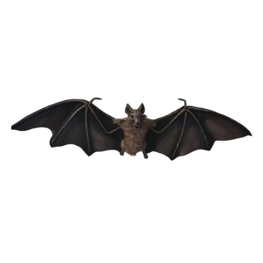 Bat 29cm