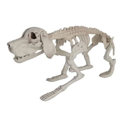 Dog Skeleton 32cm