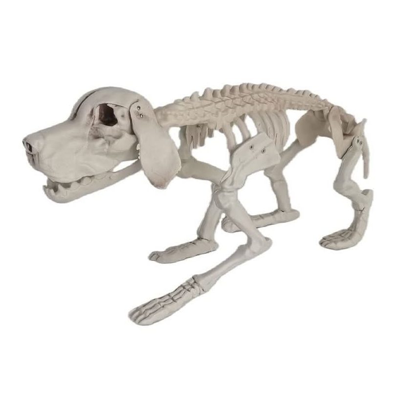 Dog Skeleton 32cm