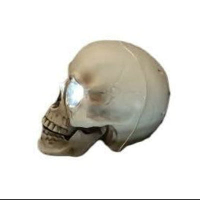 Animated light up skull