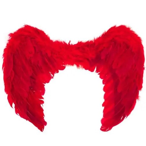 Red Feathered Wings 80cmx60cm