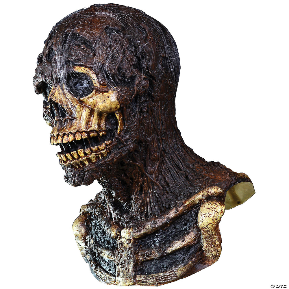  High-quality Creepshow Nate Adult Mask with lifelike details and comfortable fit