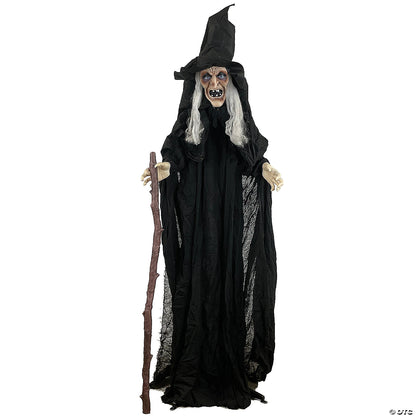 Alt text: Detailed illustration of an animated witch with a cane, wearing a long, flowing robe and pointed hat, holding a broomstick, against a spooky, moonlit background