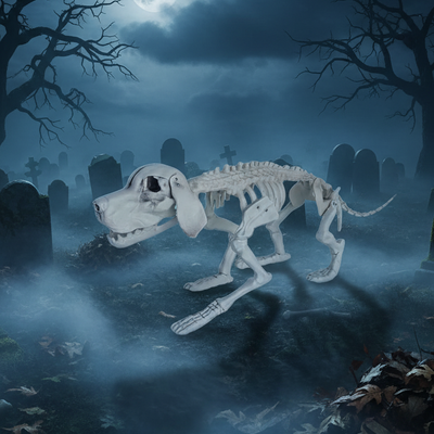 Dog Skeleton 32cm
