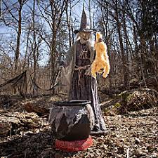 Animated Cat Tastrophe Without Fog Machine - A funny cat chasing after a colorful feather toy, with no fog machine in the background