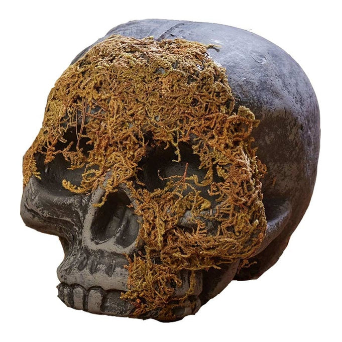  Realistic human skull replica with green moss covering