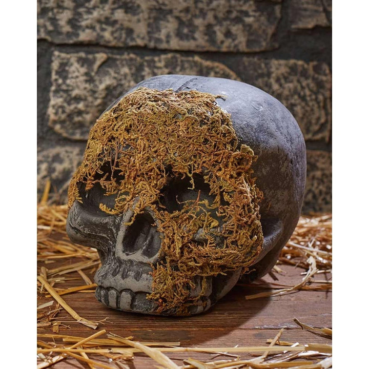 Skeleton skull covered in moss with no jawbone 