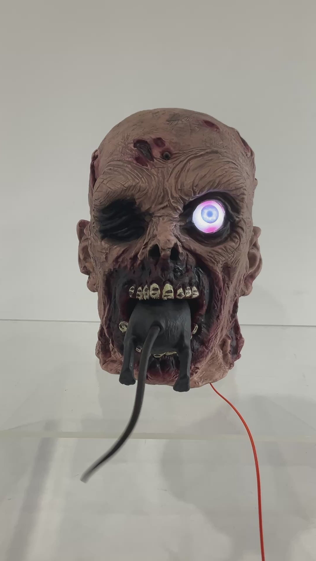 Zombie Head Eating Rat 22.5cm