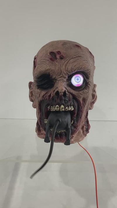 Zombie Head Eating Rat 22.5cm