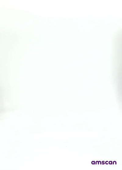 Roald Dahl Classic Willy Wonka Child Costume