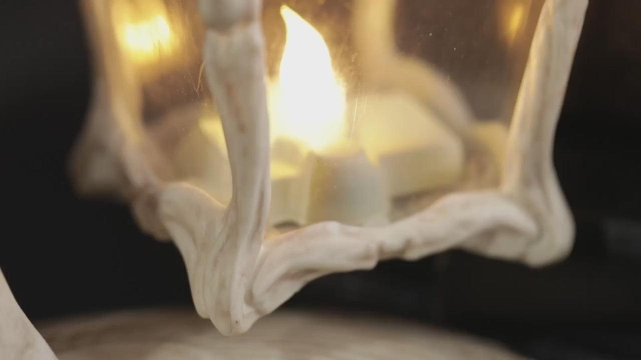 Load video: 16 1/2" Light-Up Skeleton Crew Bone Lantern