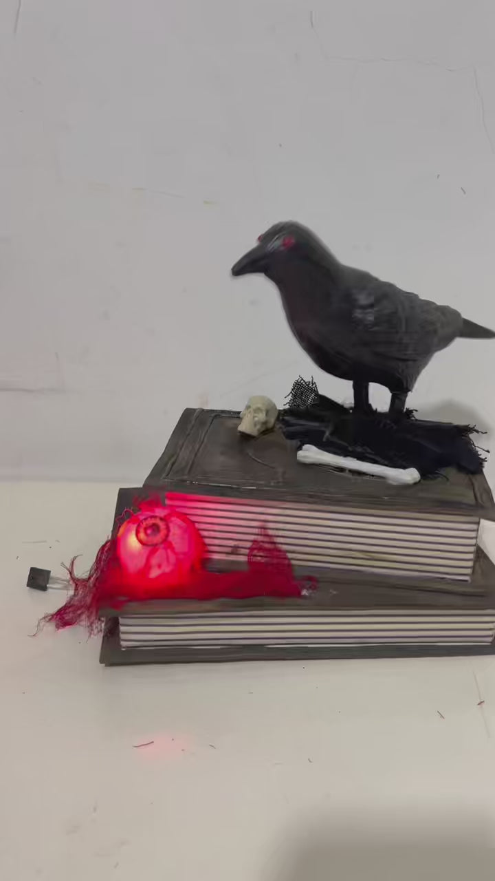 Animated Crow On The Book 21cm