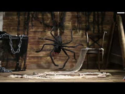 Animated Hairy Black Spider | 31 1/2" x 8 1/4"