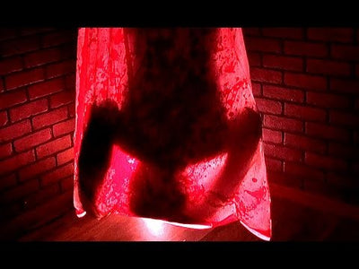Bloody Body in Bag