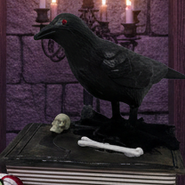Animated Crow On The Book 21cm