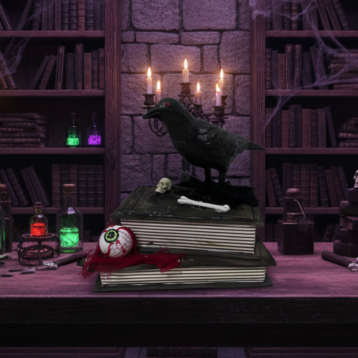 Animated Crow On The Book 21cm