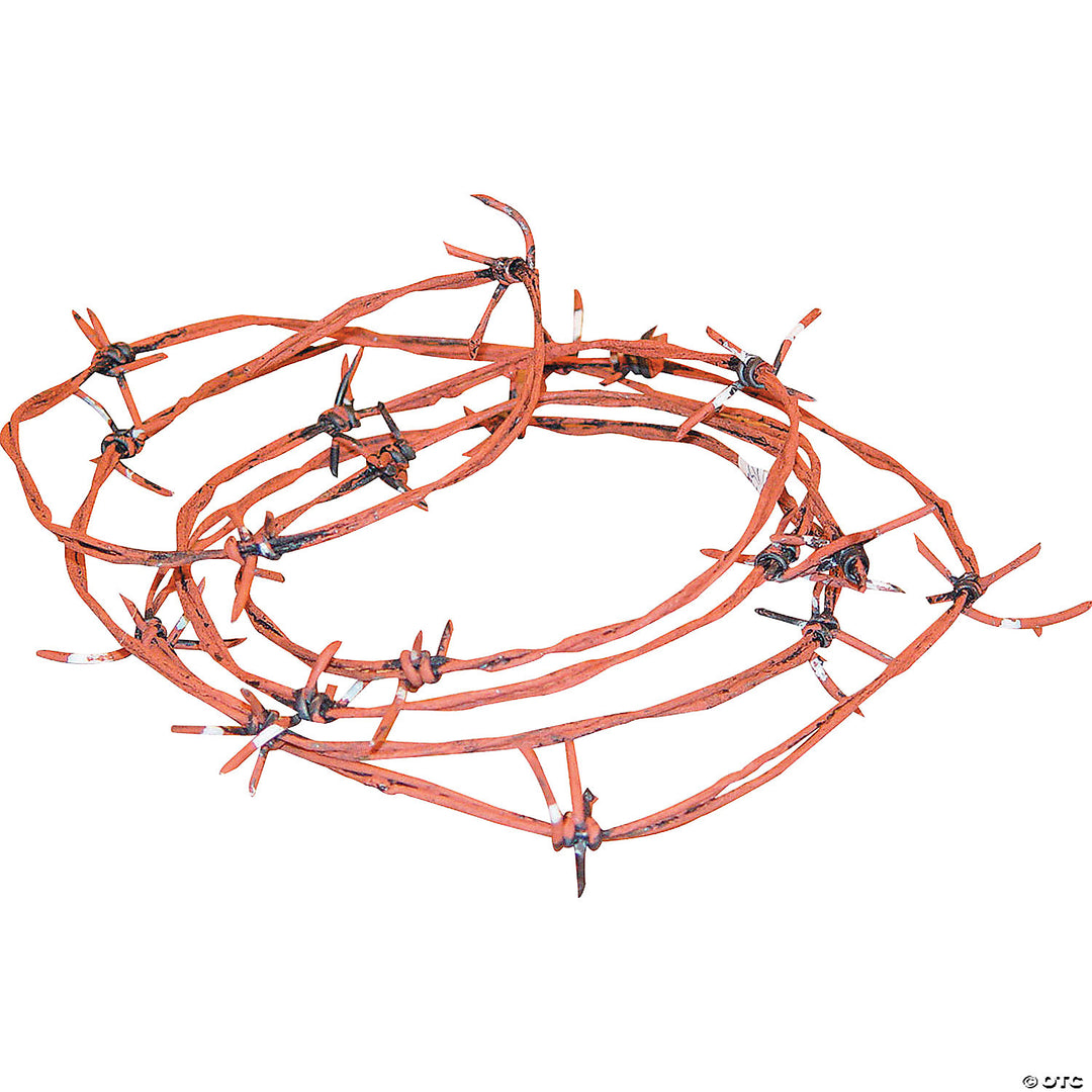 Rusty barbed wire with sharp metal spikes, a security deterrent