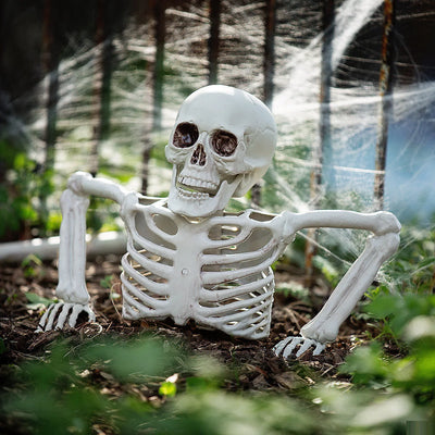 Table Top Half Skeleton Centerpiece, 15 3/4" x 10 3/4"