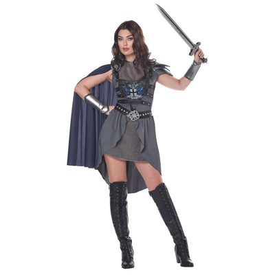 Lady Knight Adult Costume, Grey.