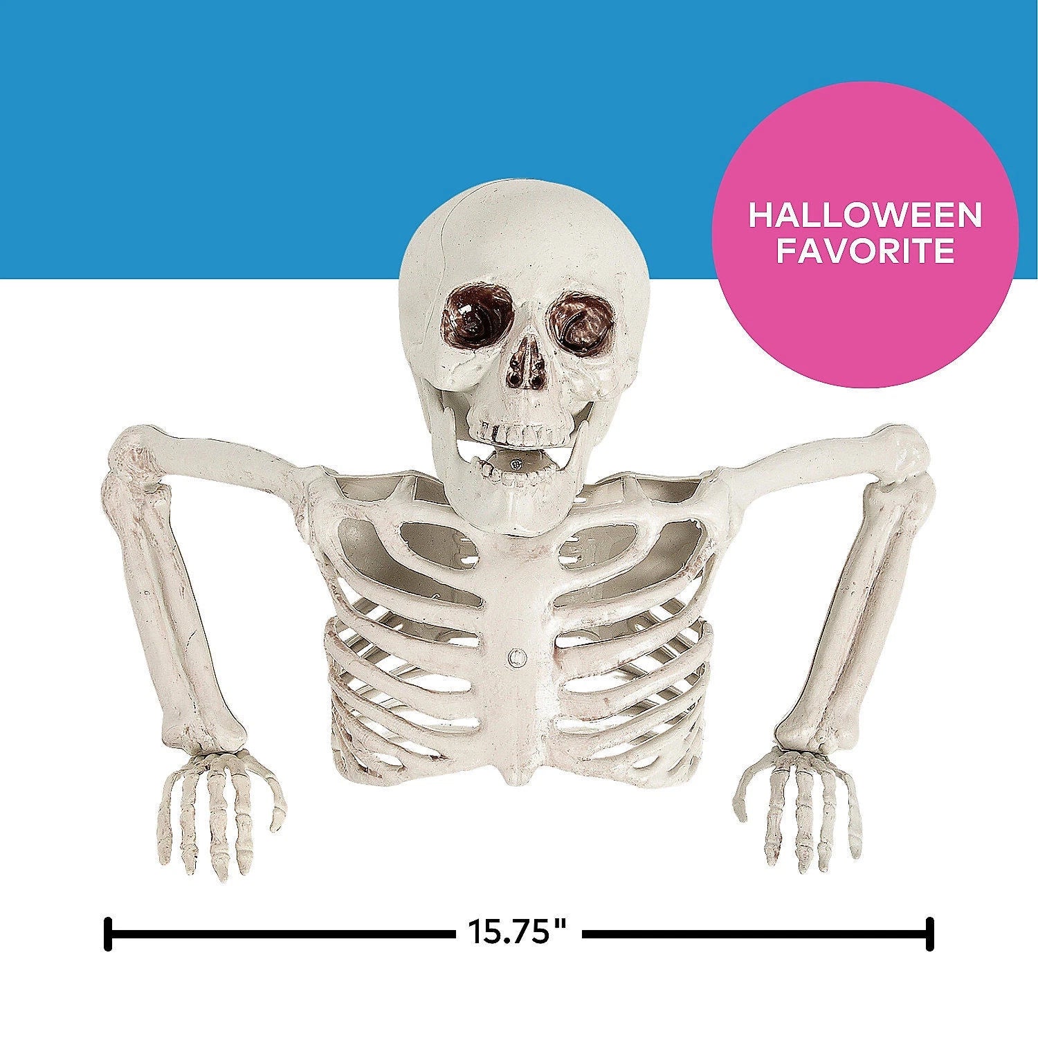 Table Top Half Skeleton Centerpiece, 15 3/4" x 10 3/4"
