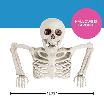 Table Top Half Skeleton Centerpiece, 15 3/4" x 10 3/4"