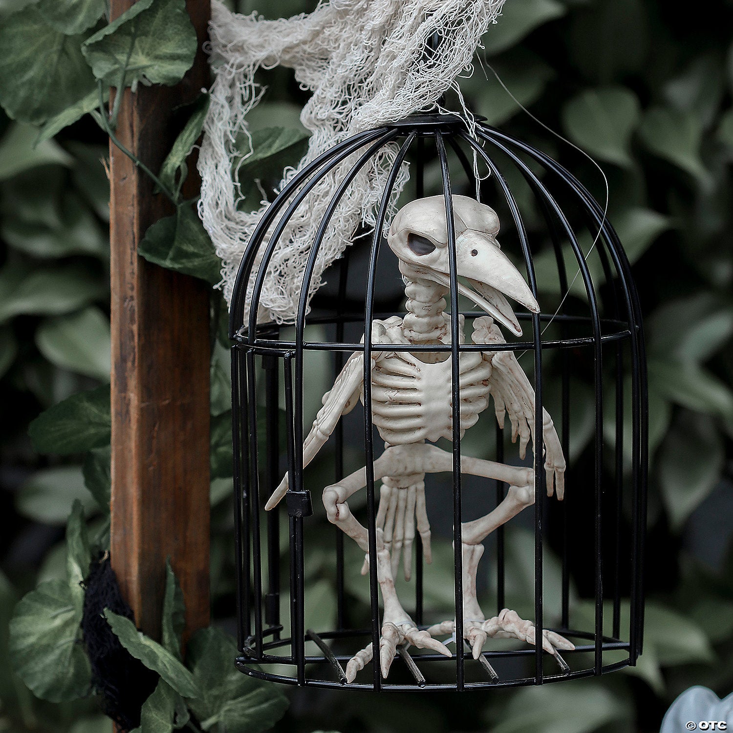 Skeleton Crow in a Cage.