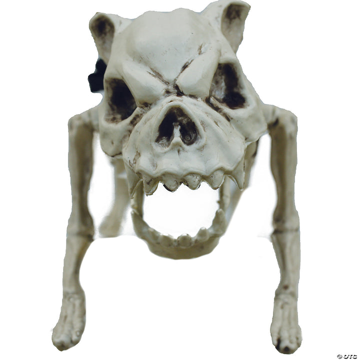 Skeleton Dog.