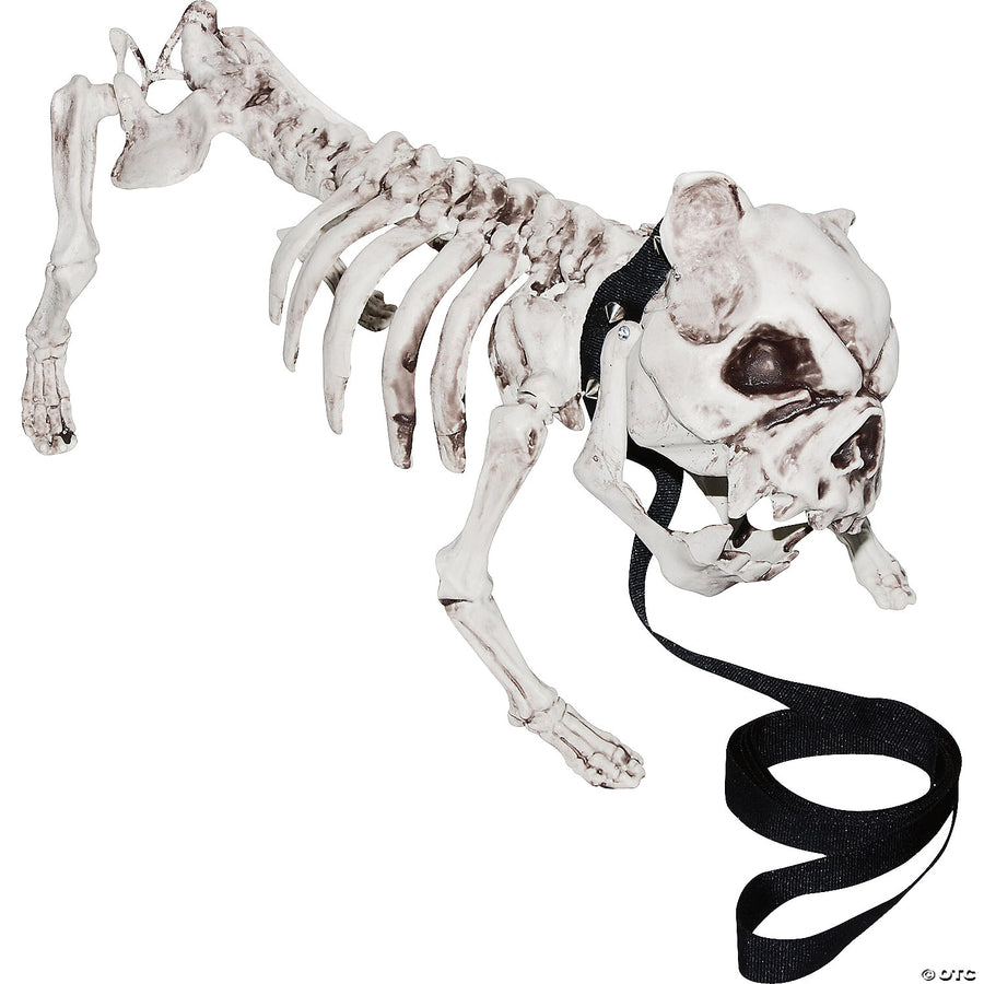 Skeleton Dog.