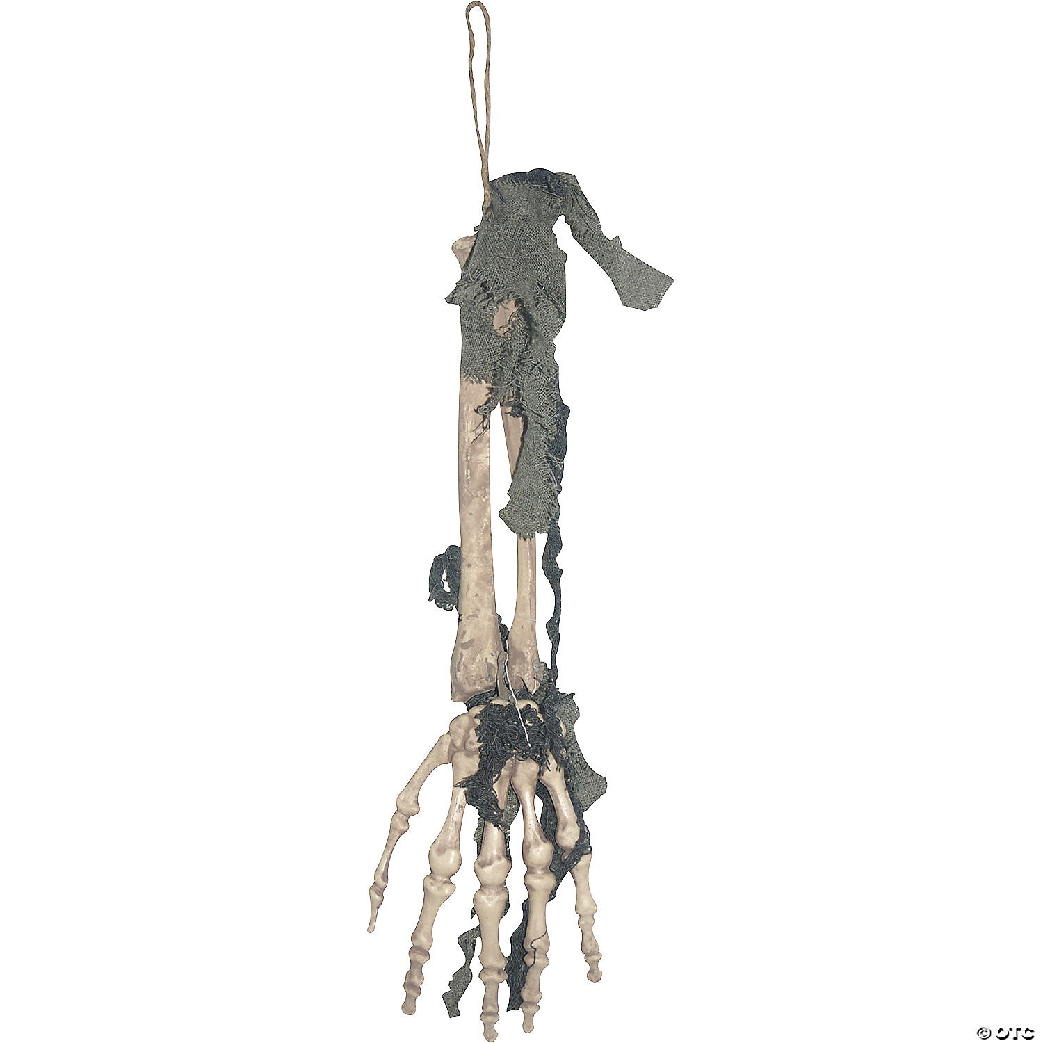 A detailed close-up image of a realistic skeleton hand model
