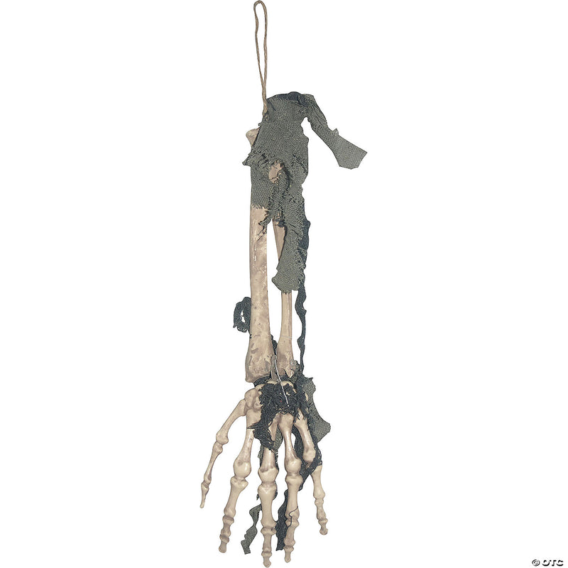 A detailed close-up image of a realistic skeleton hand model