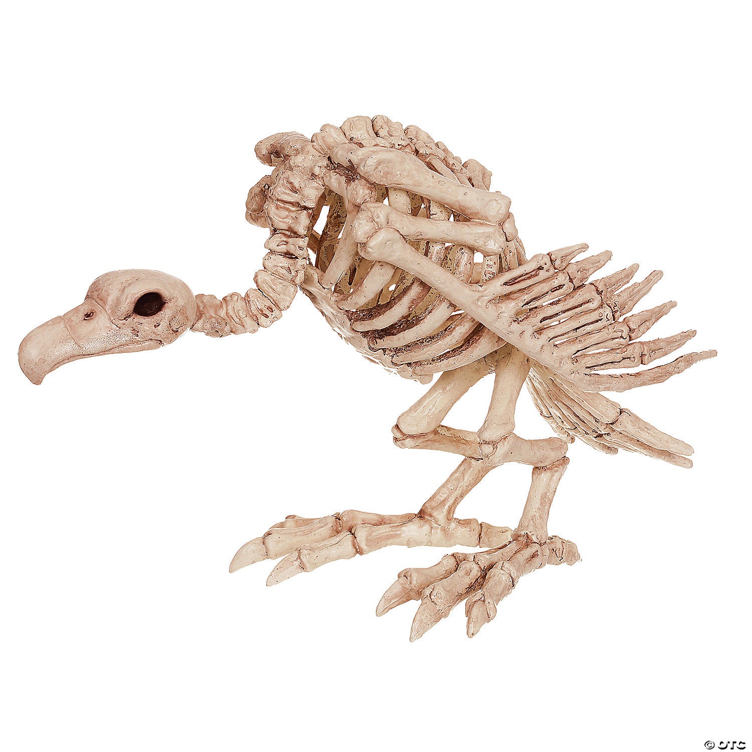 A realistic black and white skeleton vulture decoration perched on a branch