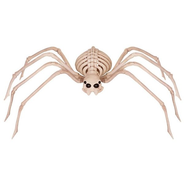 SKELETON SPIDER - Fleshless-Halloween Props and Decorations-Jokers Costume Mega Store