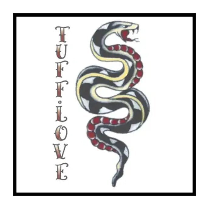1940 Snake Vintage Temporary Tattoos - Jokers Costume Mega Store