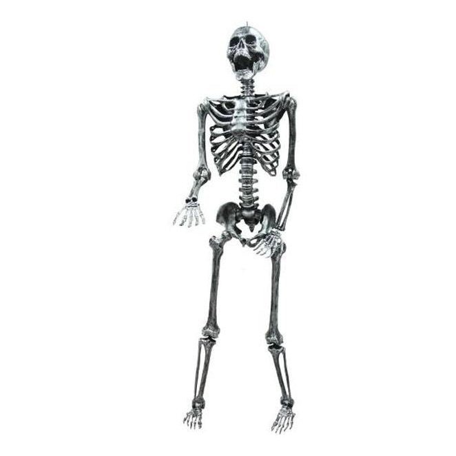 5' Light Up Skeleton - Jokers Costume Mega Store