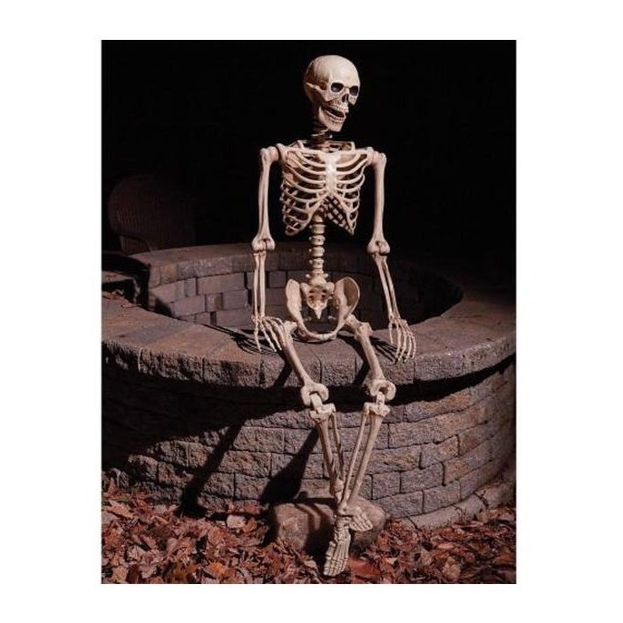 60” Articulated Natural Skeleton (Poseable) - Jokers Costume Mega Store