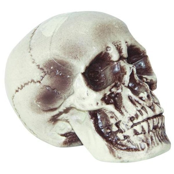 7" Realistic Skull - Jokers Costume Mega Store