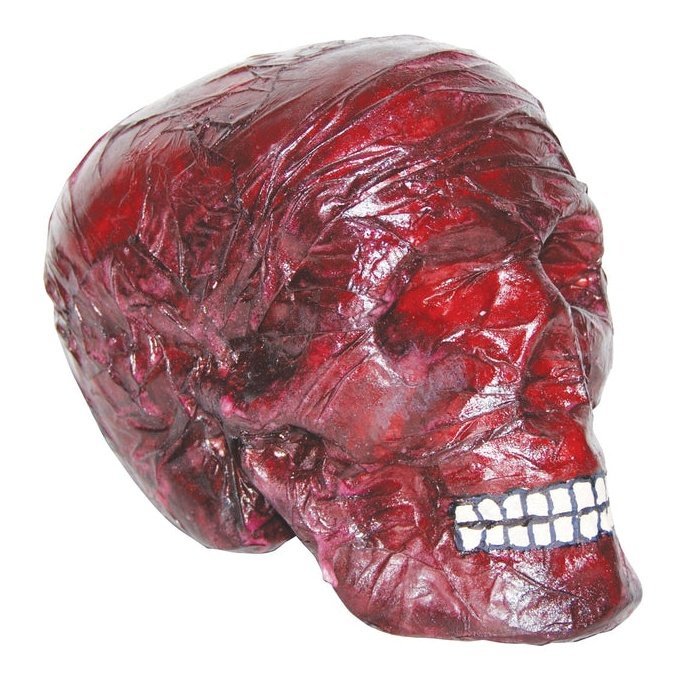 8" Burnt Skull - Jokers Costume Mega Store